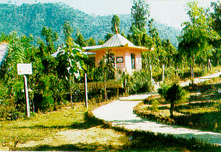 The Goddess Temple