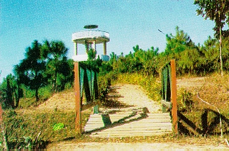 The View Tower